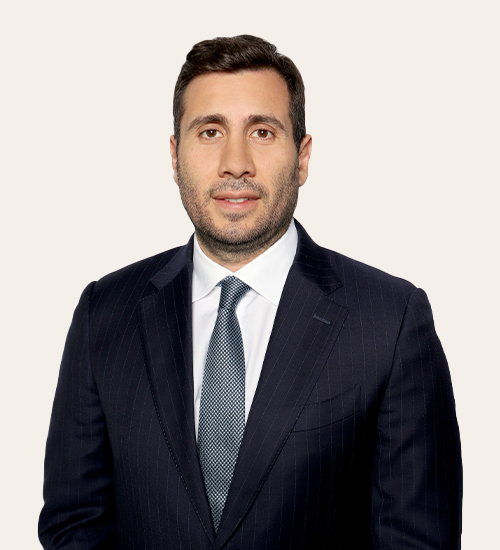 egemen egemenoğlu