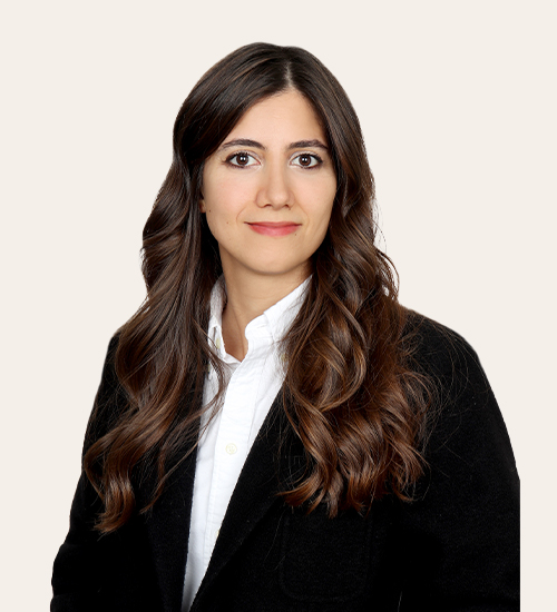 elvin egemenoglu